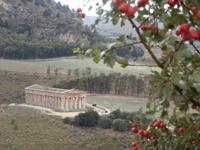 Dorischer Tempel in Segesta