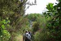 Wanderweg auf Ischia