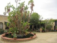 Weinverkostung im Weingut Tenuta La Lumia