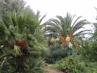 Weingut Tenuta La Lumia