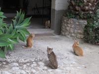 Weingut Tenuta La Lumia