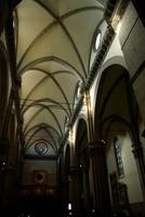 Dom_Santa_Maria_Fiore (9)