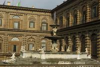 Palazzo_Pitti (6)
