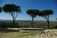 Castel_del_Monte_Blick