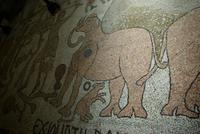 Otranto_Kathedrale_Santa_Maria_Annunziata_Fussbodenmosaik (4)
