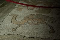 Otranto_Kathedrale_Santa_Maria_Annunziata_Fussbodenmosaik (5)