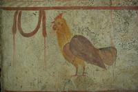 Paestum_Museum_Grabmalerei_Lukanier (8)