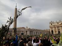206 Palmsonntag auf dem Petersplatz