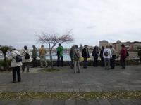 Blick in den hafen von Alghero