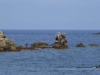 Felsenküste von Santa Teresa