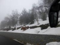 auch auf Korsika liegt dieses Jahr noch Schnee