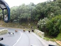 ...und auf der Straße