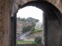 Blick vom Kolosseum zum Palatino