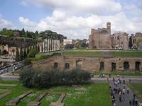 Blick vom Kolosseum zum Palatino