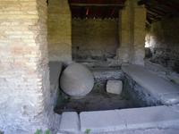 Führung in Ostia Antica (Wäscherei und Färberei)