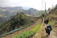 Wanderung durch das Mühlental 