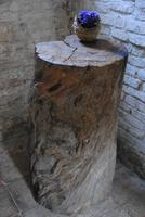 Aus dem ehemaligen Wanderstab des Hl. Franziskus wurde dieser Baumstamm