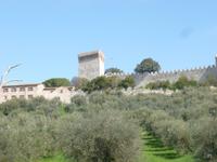 Stauferburg in Castiglione del Lago am Trasimeno See 