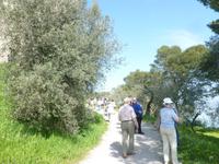 Weg zur Stauferburg in Castiglione del Lago am Trasimenosee
