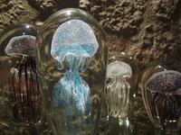 Fotografin: Esther Kohl