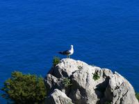 Fotografin: Esther Kohl