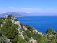 Fotografin: Esther Kohl