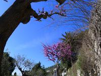 Fotografin: Esther Kohl