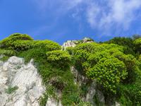 Fotografin: Esther Kohl