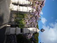 Amerikanische_Akademie