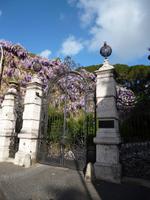 Amerikanische_Akademie