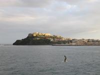 Fährüberfahrt nach Ischia - Procida