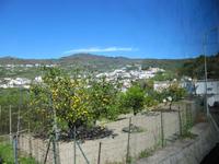 Inselrundfahrt Ischia 