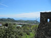 Inselrundfahrt Ischia 