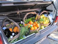 Inselrundfahrt Ischia Fontana