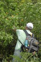 Na...wer wird denn da???