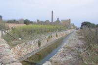 Im Nationalpark Vendicari