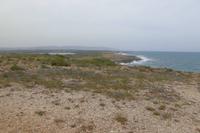 Im Nationalpark Vendicari