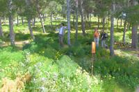 Auf dem Rocca di Cefalu