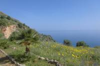 Im Nationalpark Zingaro