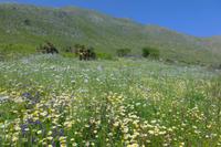 Im Nationalpark Zingaro