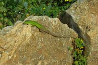 Im Nationalpark Zingaro