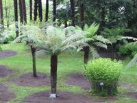 Verbania-Villa Taranto