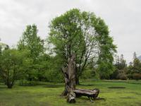 Verbania-Villa Taranto