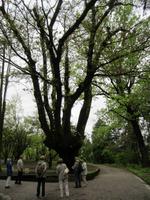 Verbania-Villa Taranto