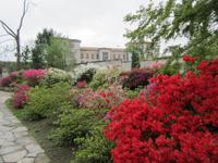 Verbania-Villa Taranto