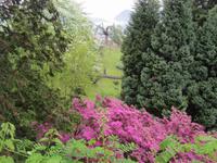 Verbania-Villa Taranto