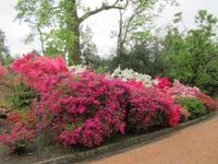 Verbania-Villa Taranto