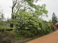 Verbania-Villa Taranto