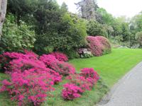 Tremezzo-Villa Carlotta