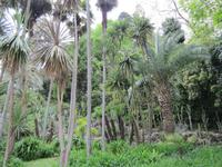 Tremezzo-Villa Carlotta